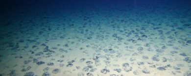 Terre rare, la corsa ai fondali oceanici può sfidare il dominio della Cina