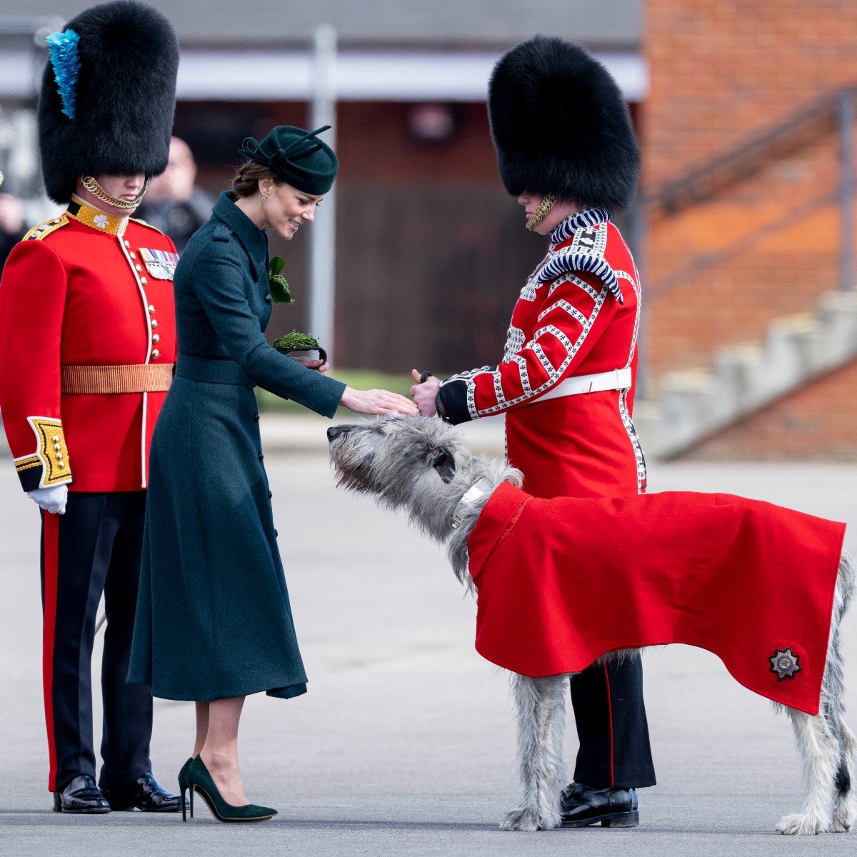San Patrizio con Kate Middleton: ecco come ha passato la giornata la Principessa del Galles